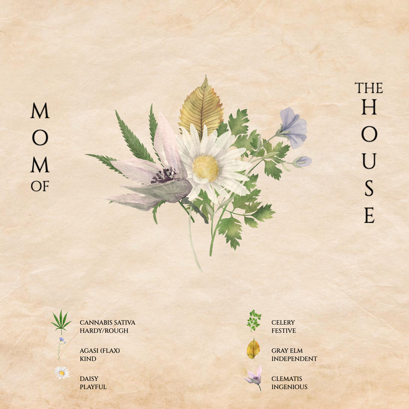 Sample Youquet 1